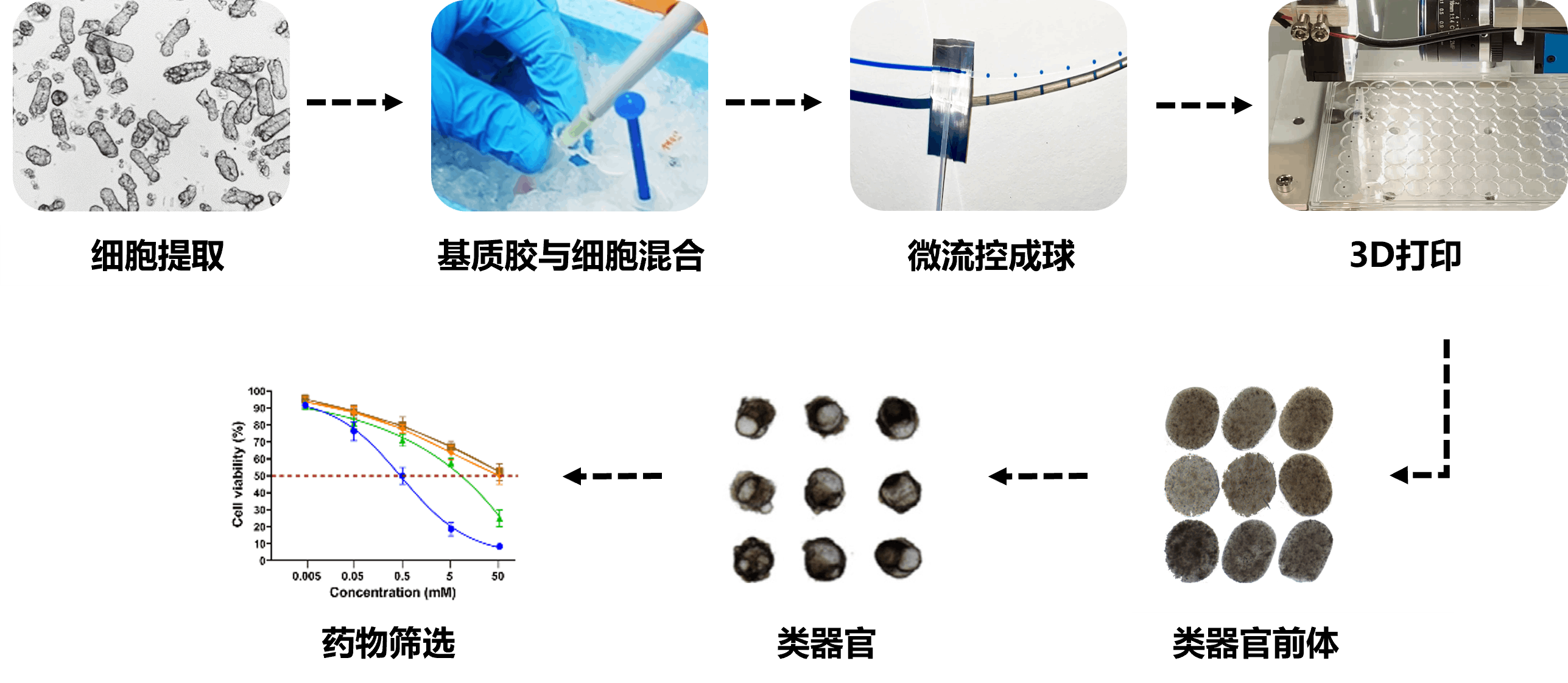 技术流程-压缩.png